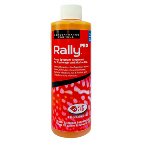 Rally PRO